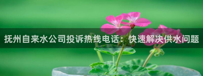 qy球友会体育官方平台