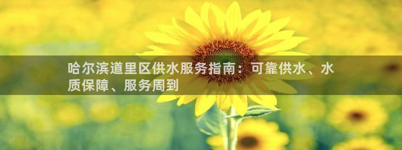 QY球友会