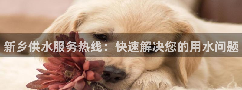 球友会开户礼金在哪领