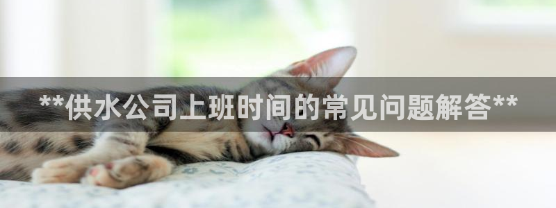 球友会体育app官方版下载安装最新