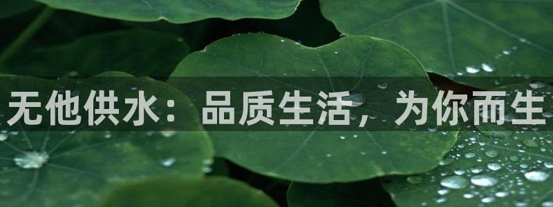 球友会体育app下载官网安卓
