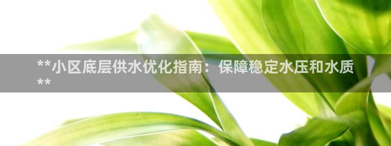球友会下载安装