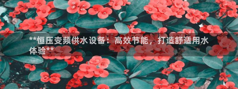 球友会qy怎么进不去