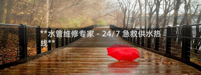 球友会体育