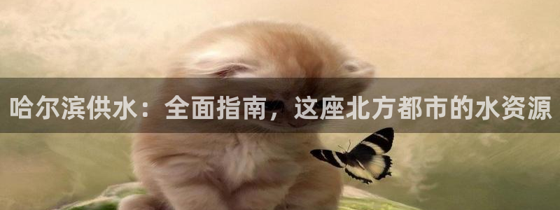 球友会体育app下载安卓手机