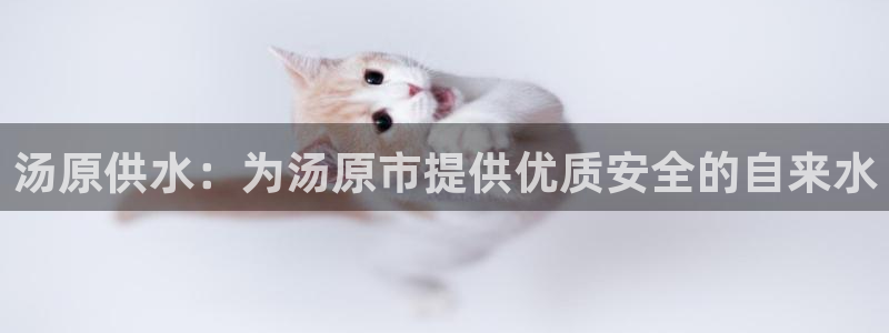 球友会提款不到账