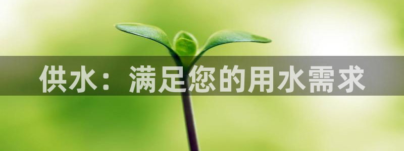 球友会提现不到账